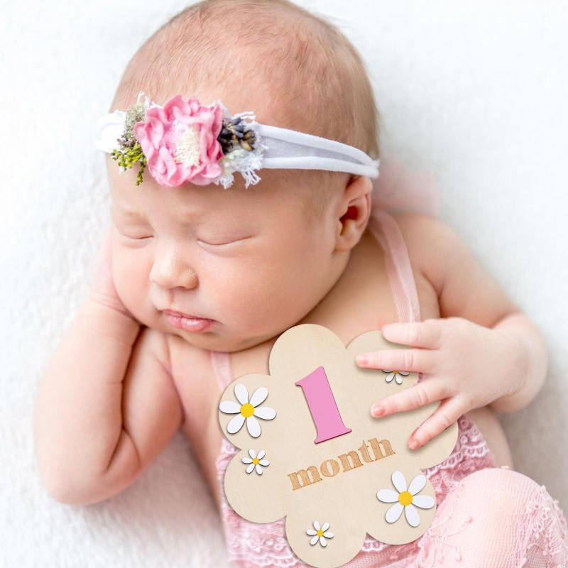 Kartu Tonggak Bulanan Bayi dar - Photography Cheat Sheet ulasan dan harga