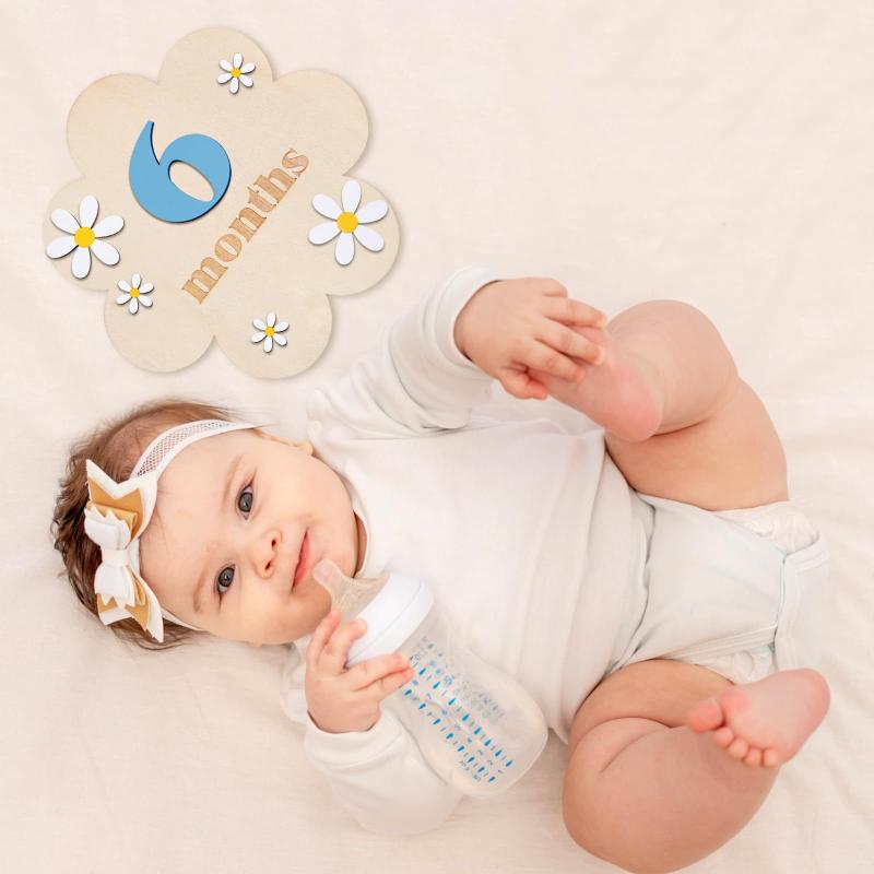 Kartu Tonggak Bulanan Bayi dar - Photography Cheat Sheet ulasan dan harga
